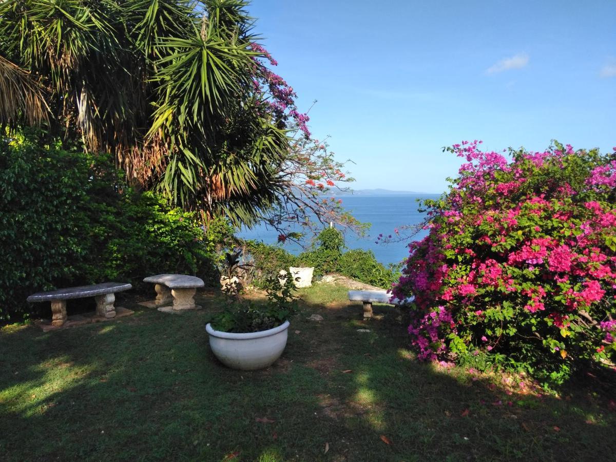 Irresistible View-Mobay Club 1408 Leilighet Montego Bay Eksteriør bilde
