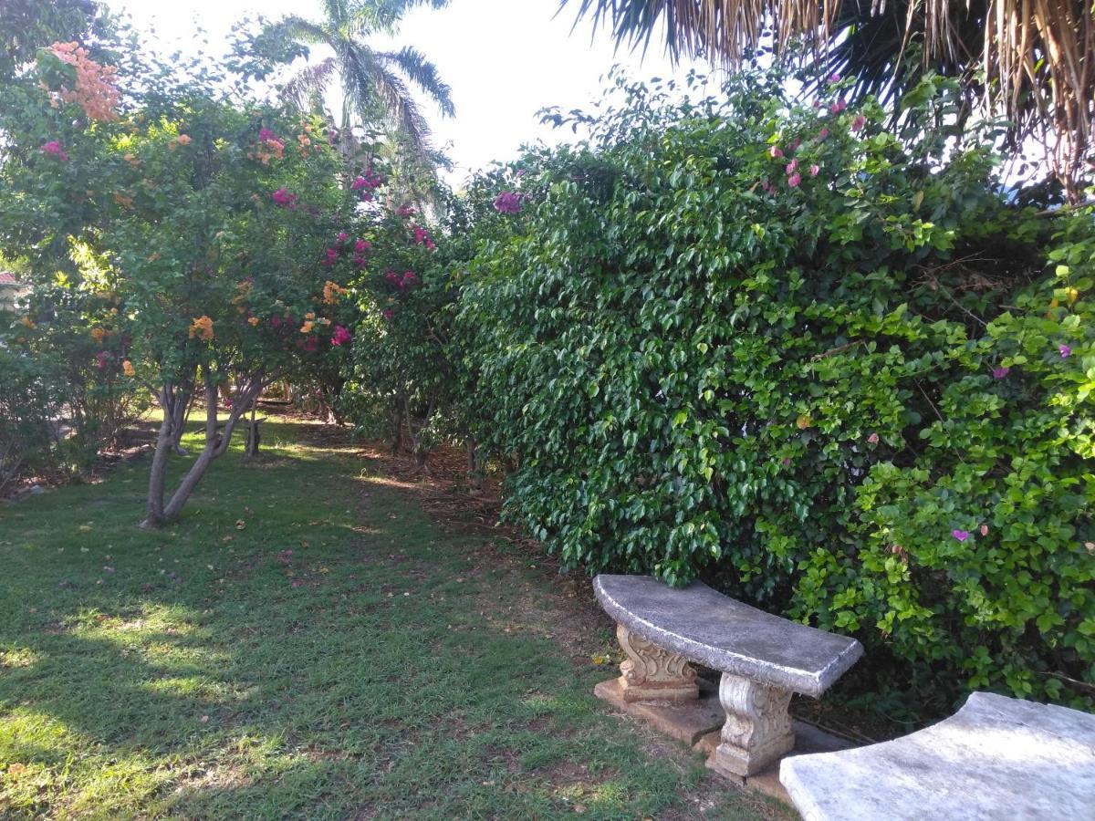 Irresistible View-Mobay Club 1408 Leilighet Montego Bay Eksteriør bilde