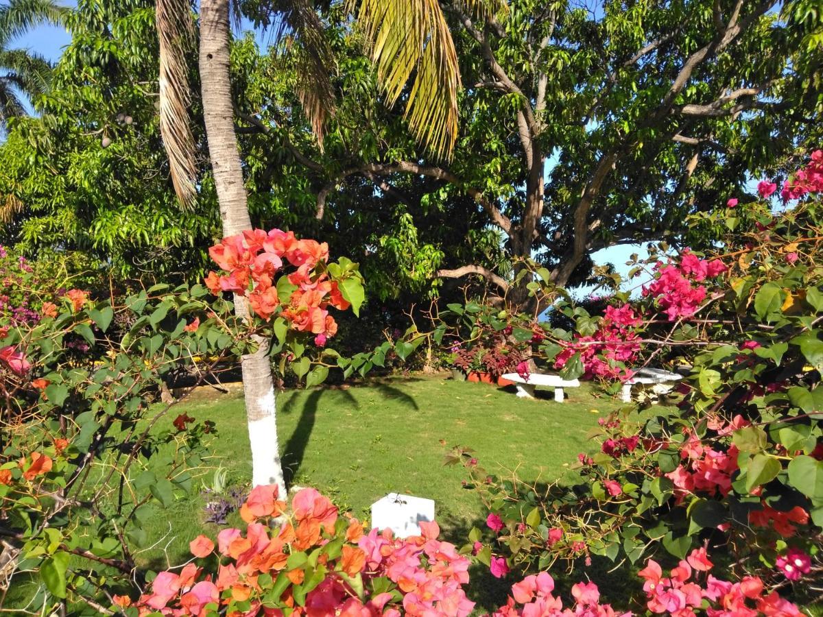 Irresistible View-Mobay Club 1408 Leilighet Montego Bay Eksteriør bilde