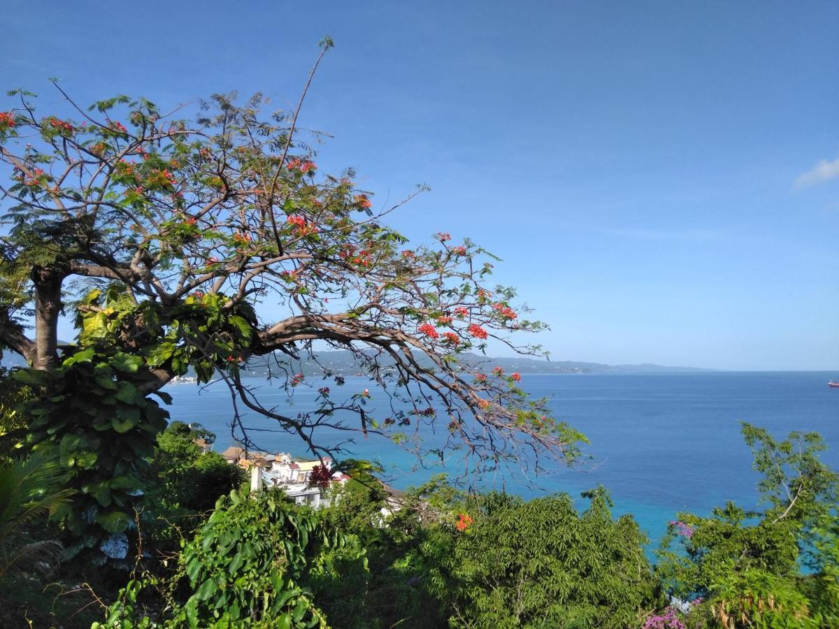 Irresistible View-Mobay Club 1408 Leilighet Montego Bay Eksteriør bilde